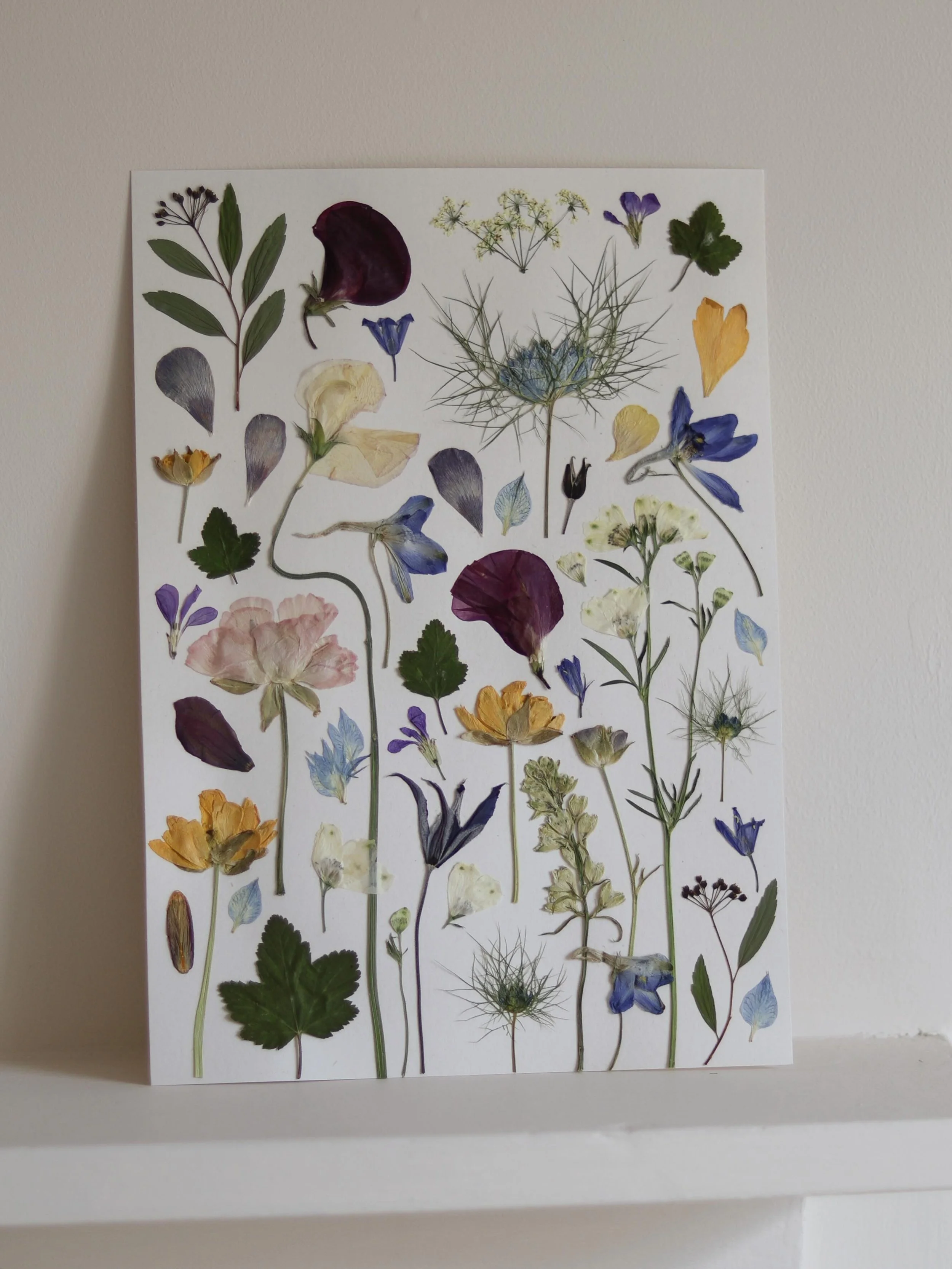 Pressed flowers for C&amp;M 🌿

&bull;

#springflowers #pressedflowerart #pressedweddingflowers #artist #floraldesigner