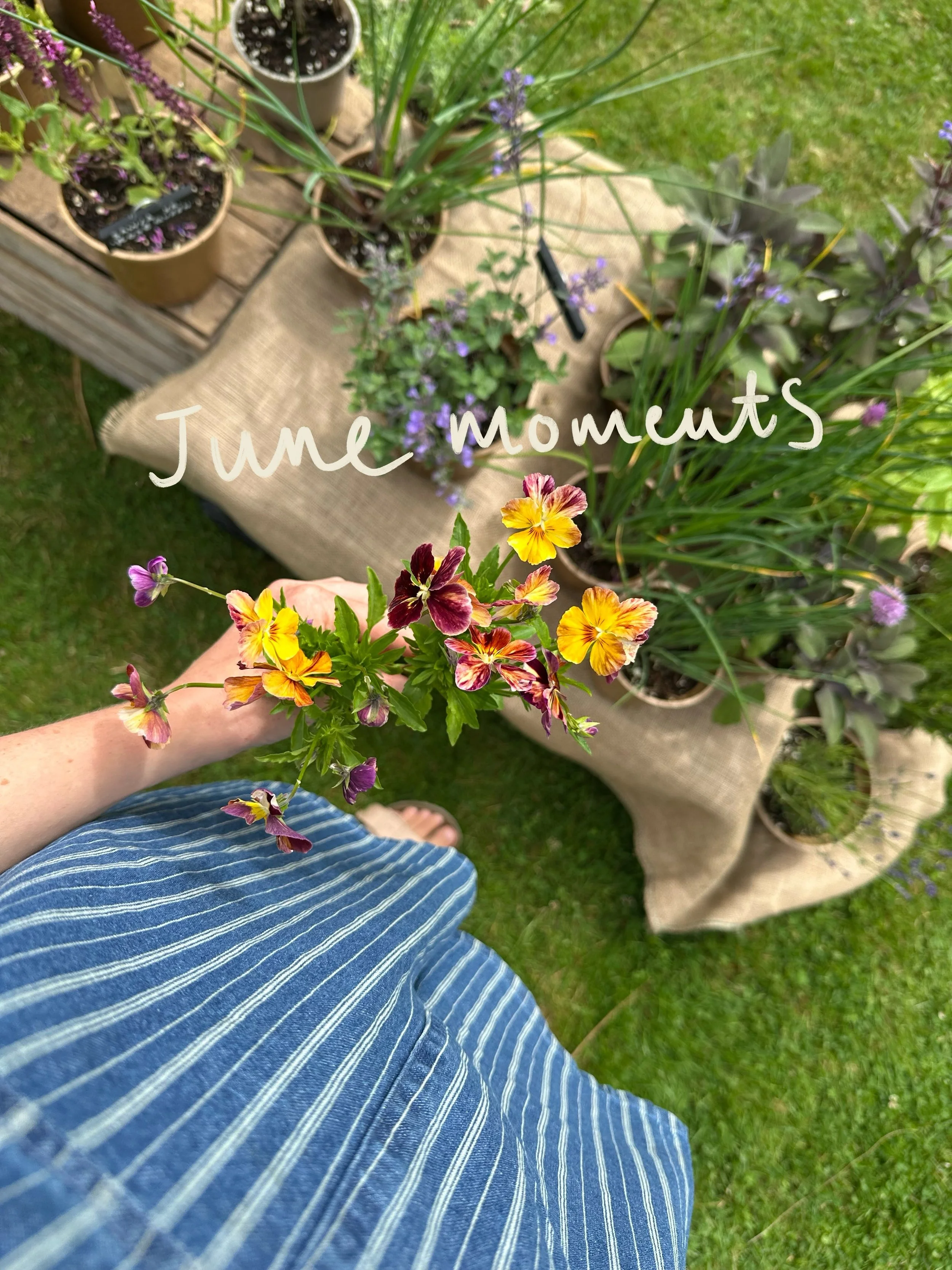 Joy in June 🫶🏻