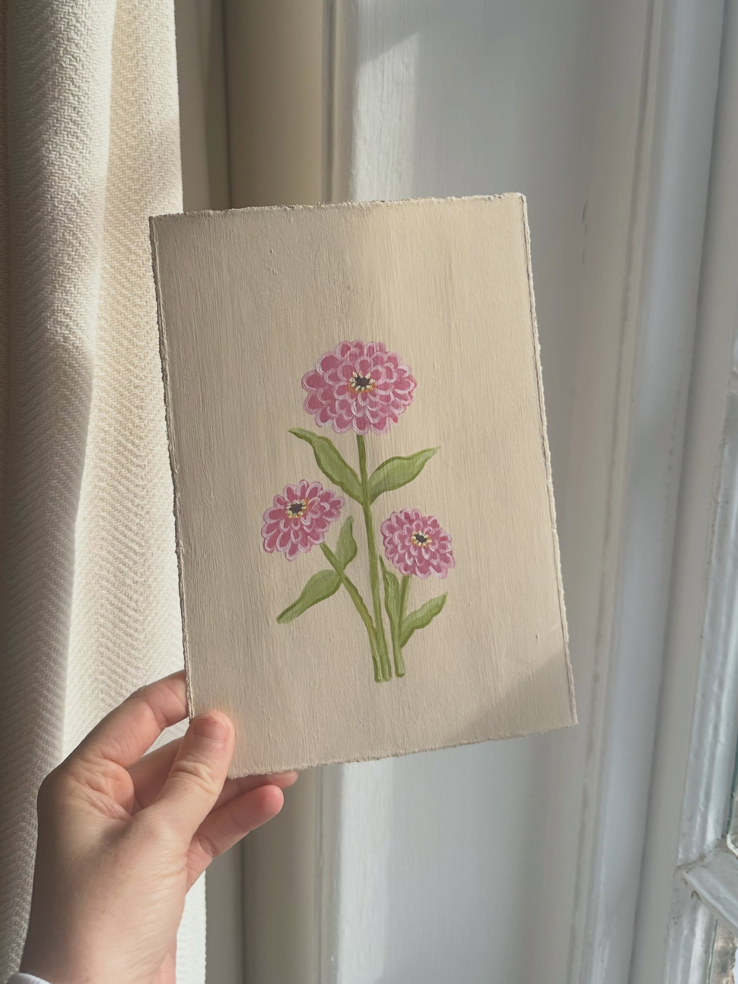 Zinnia season 🌼🌸🌿