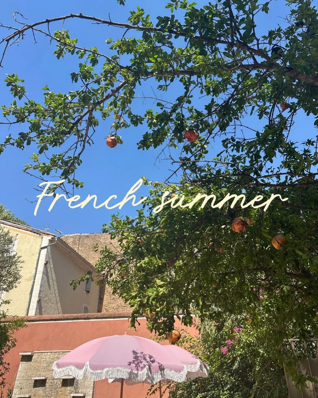 Beautiful scenes from a couple of weeks in France 🤍

Always so much colour and nature and inspiration 😍