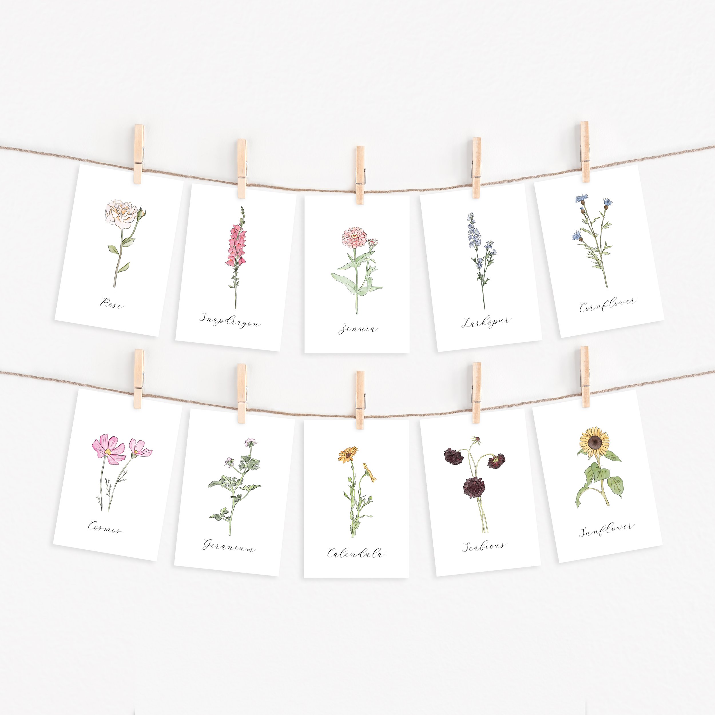 Summer mockup 3.jpg