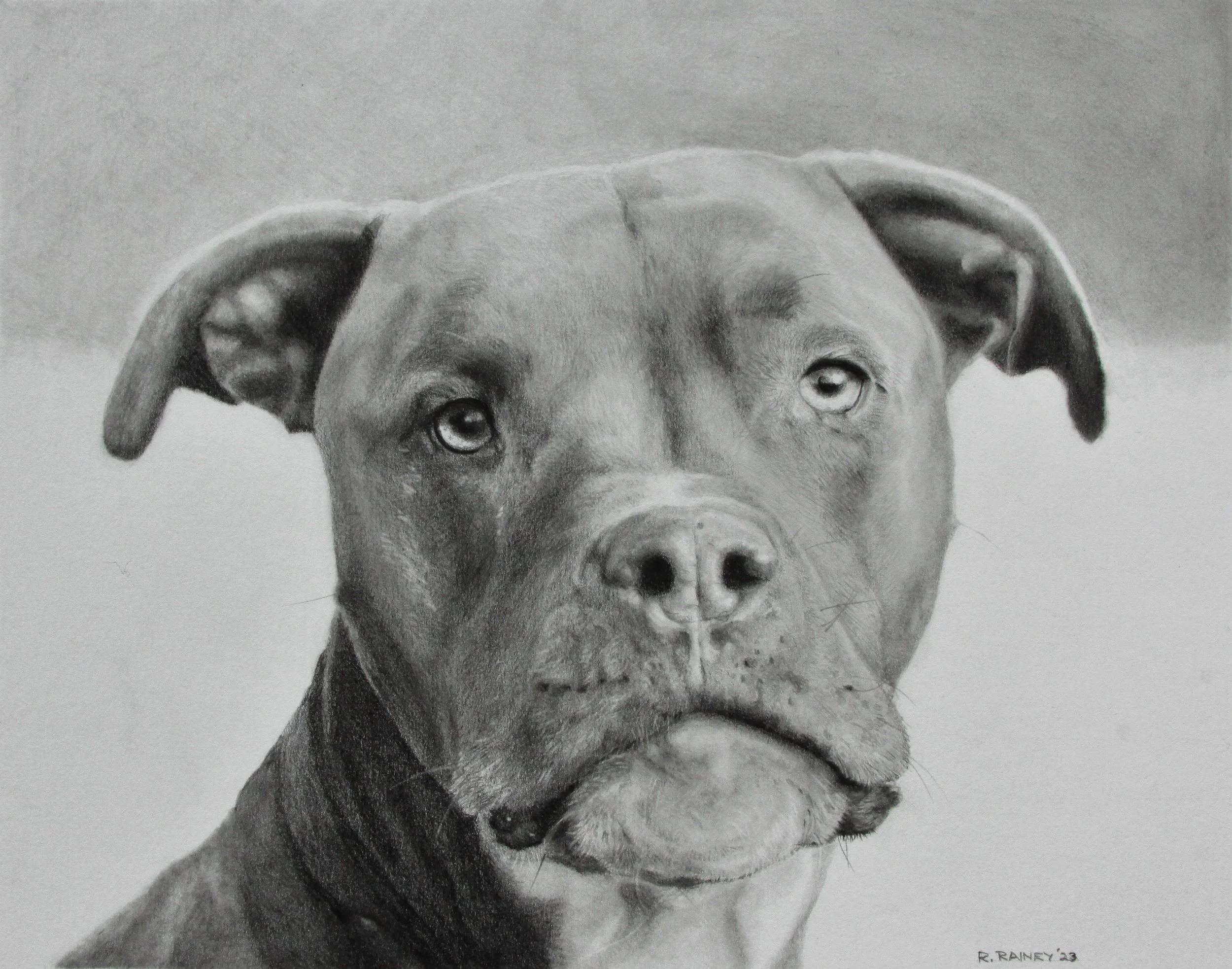 Rich Rainey Artwork - Max - 1.12.2023.JPG