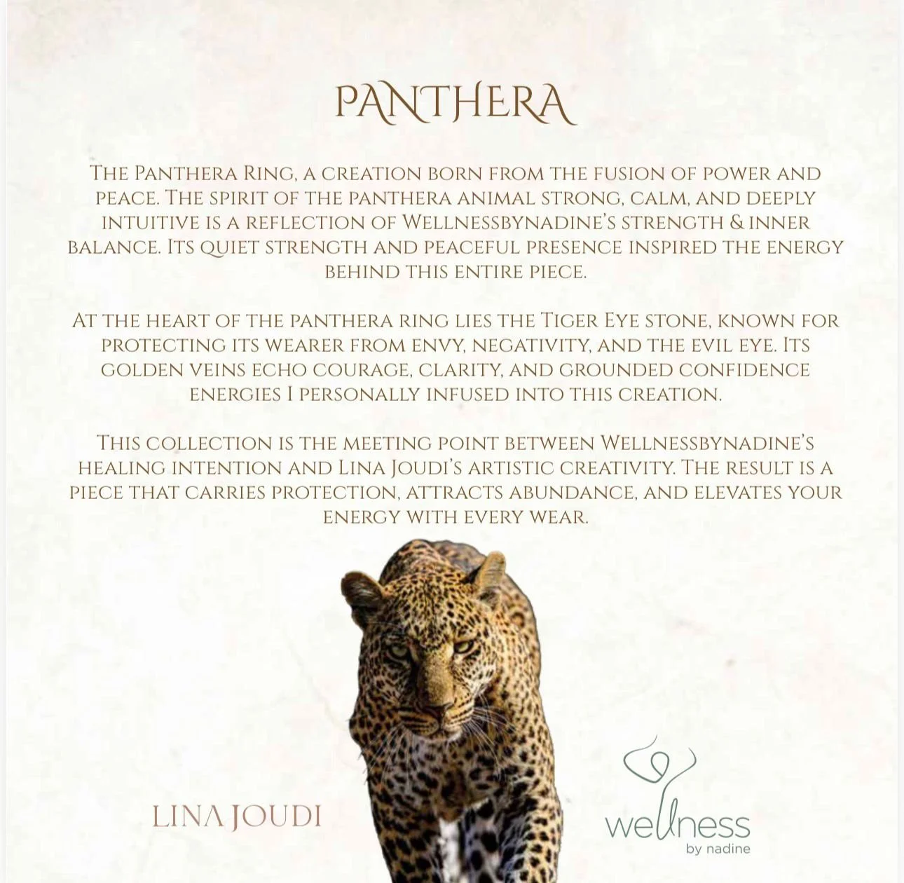 WhatsApp Image 2026-01-16 at 10.55.25.jpeg