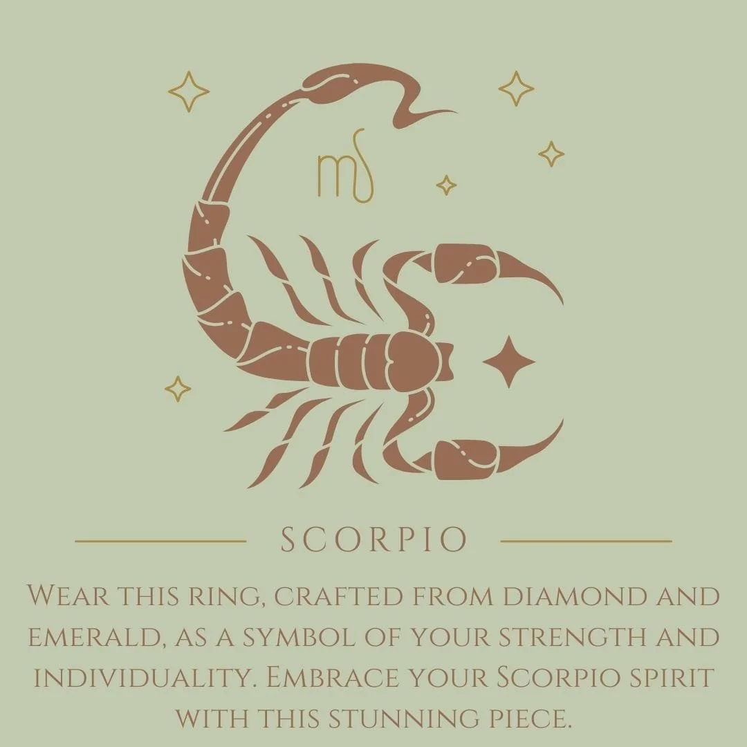 WhatsApp Image 2025-11-03 at 14.57.05.jpeg