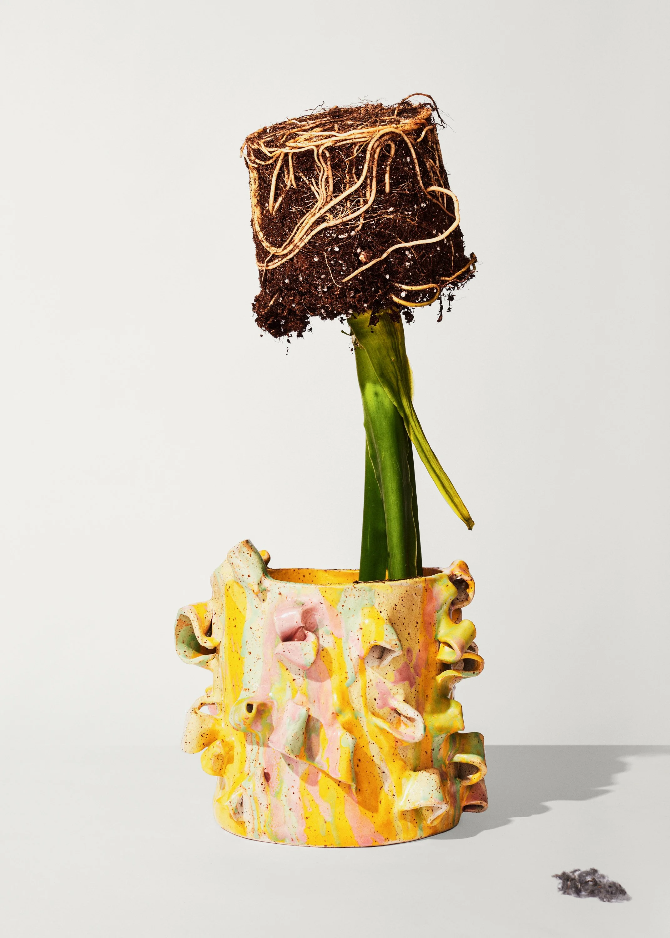 OK_TEST_0740 copy_auto_curve4 copy 2.jpg