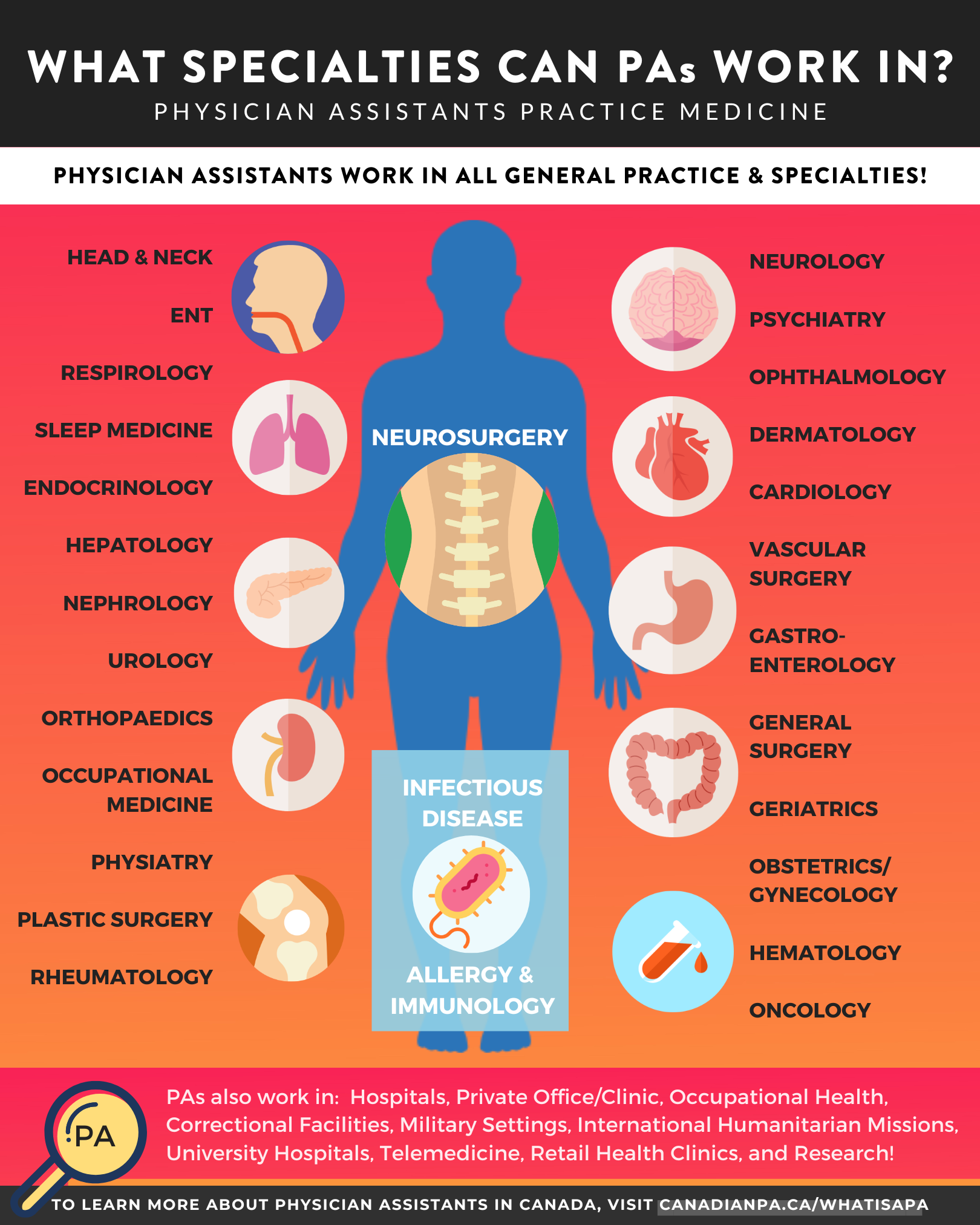 Infographic - What specialties can PAs work in.png