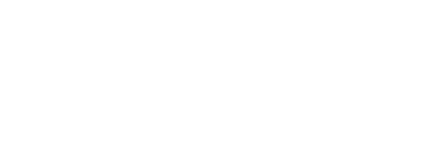 Max Palou 
