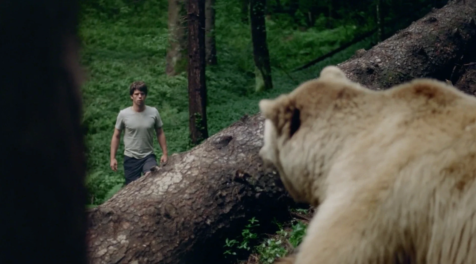 Estrella Damm | Message to