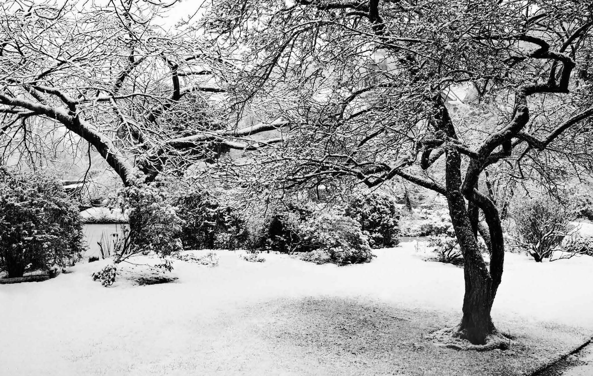 Winter.Gardens.Book.AW.V5_Page_004.jpg