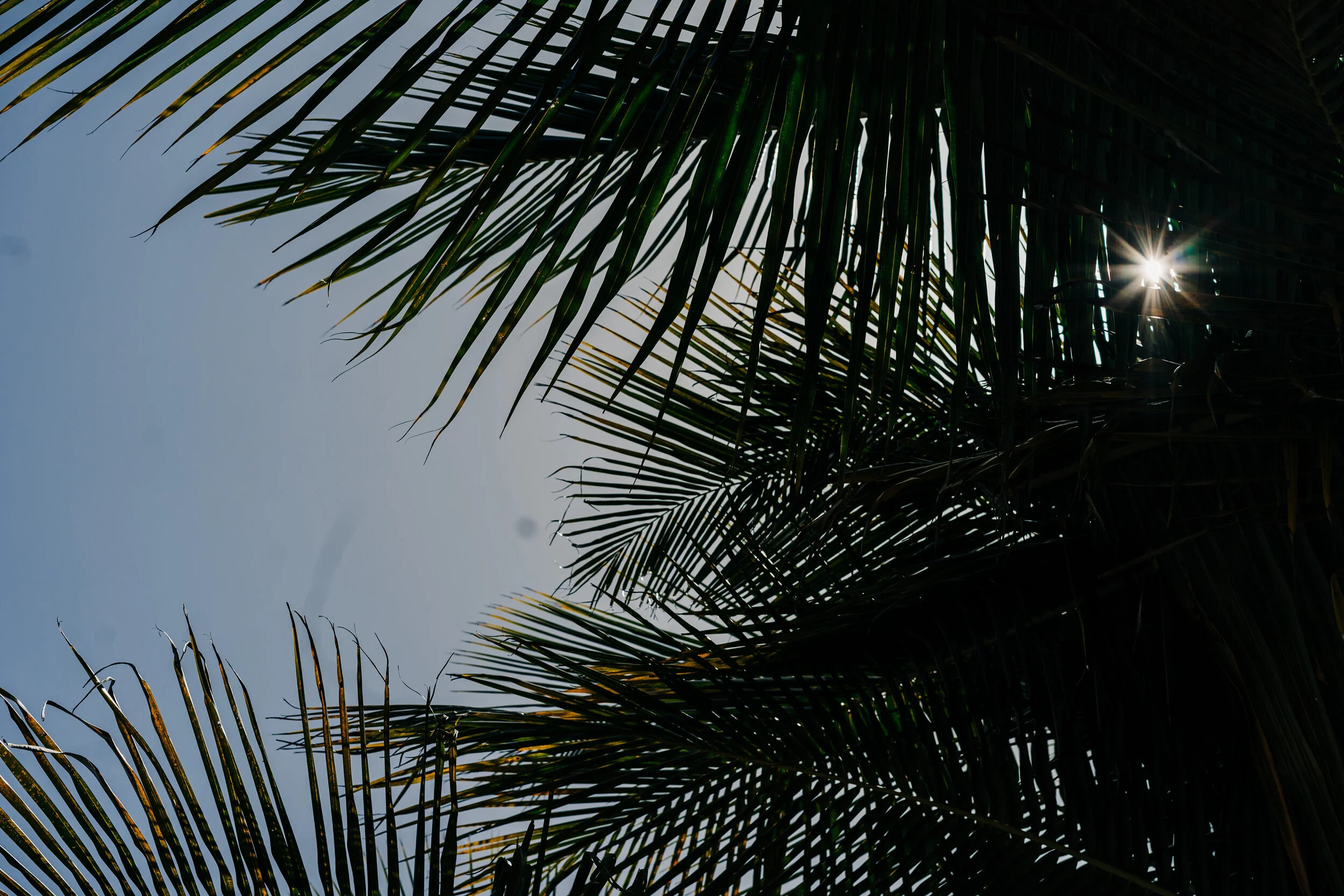 Featured | FilmingLife Academy Art House Film