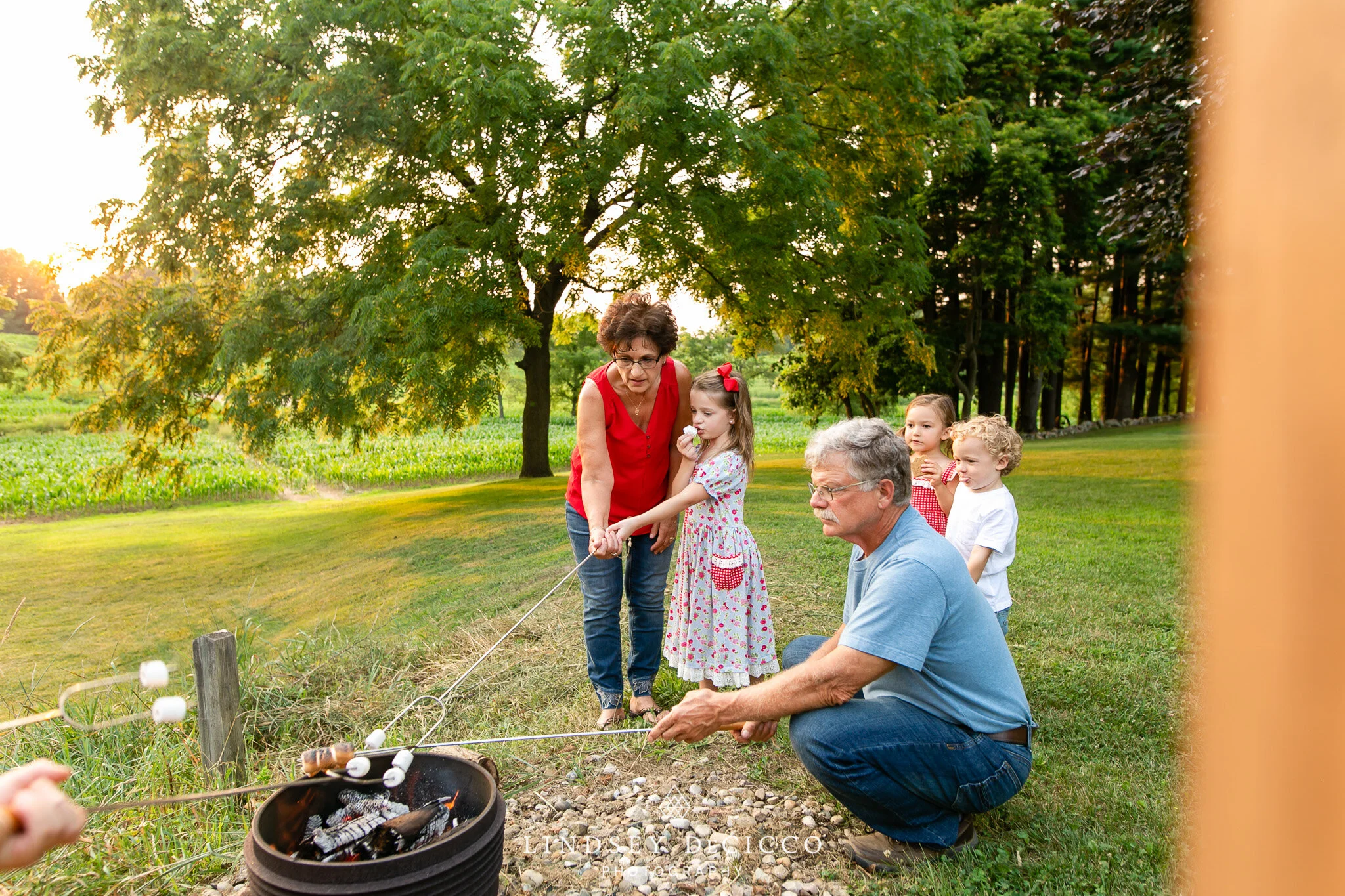 Grandma and Grandpa help their young grandchildren roast marshmallows over a small outdoor fire pit. The children watch eagerly as the marshmallows toast, surrounded by lush green fields and trees during a warm summer evening at the farmhouse.
