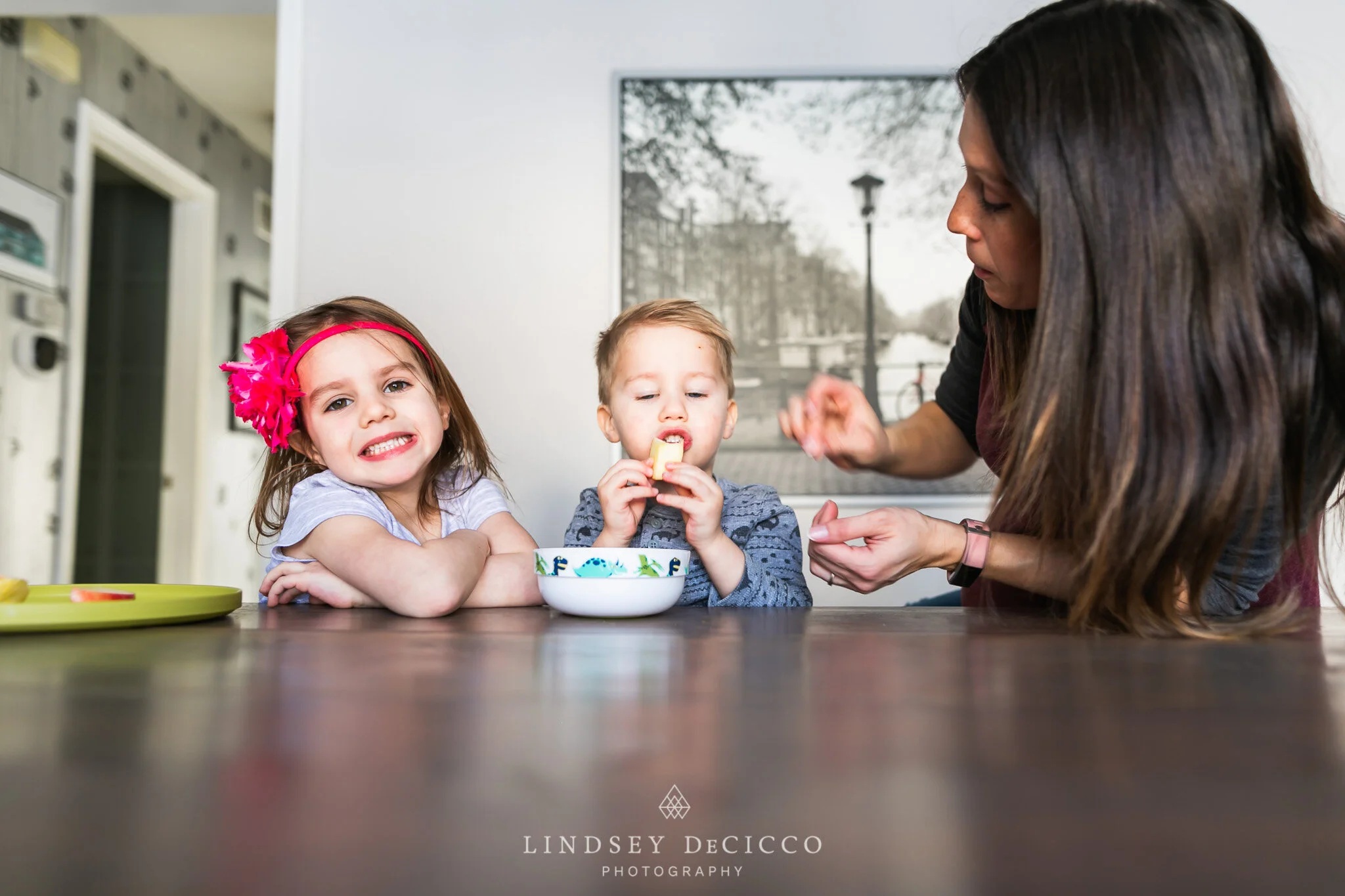 Family Film Session in Granger, IN