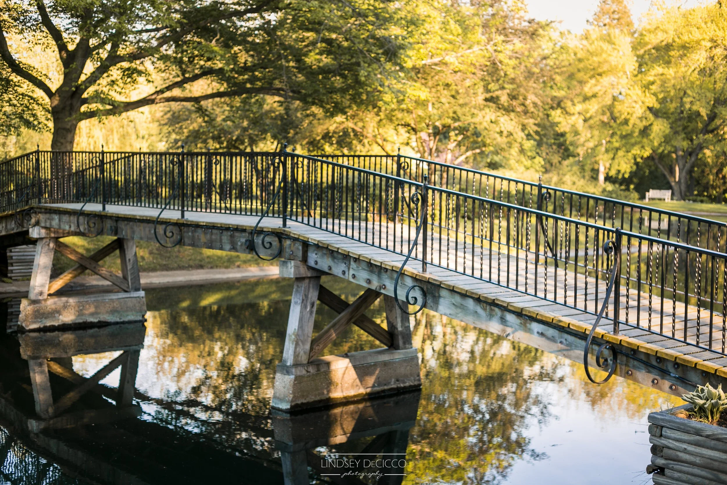 Allie & Ian's Engagement Photos | St. Mary's College, South Bend, IN