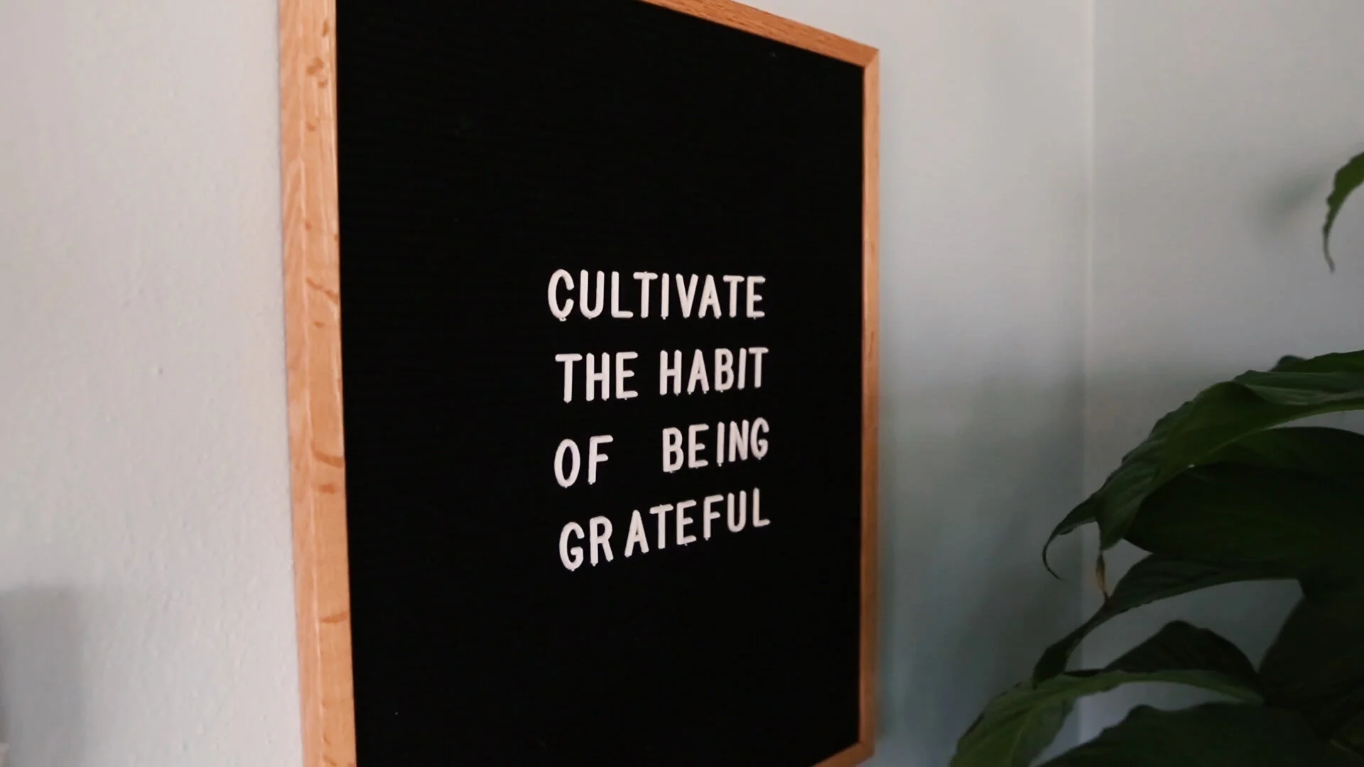 Home with the Lewis Family | A Mishawaka Family Film Session