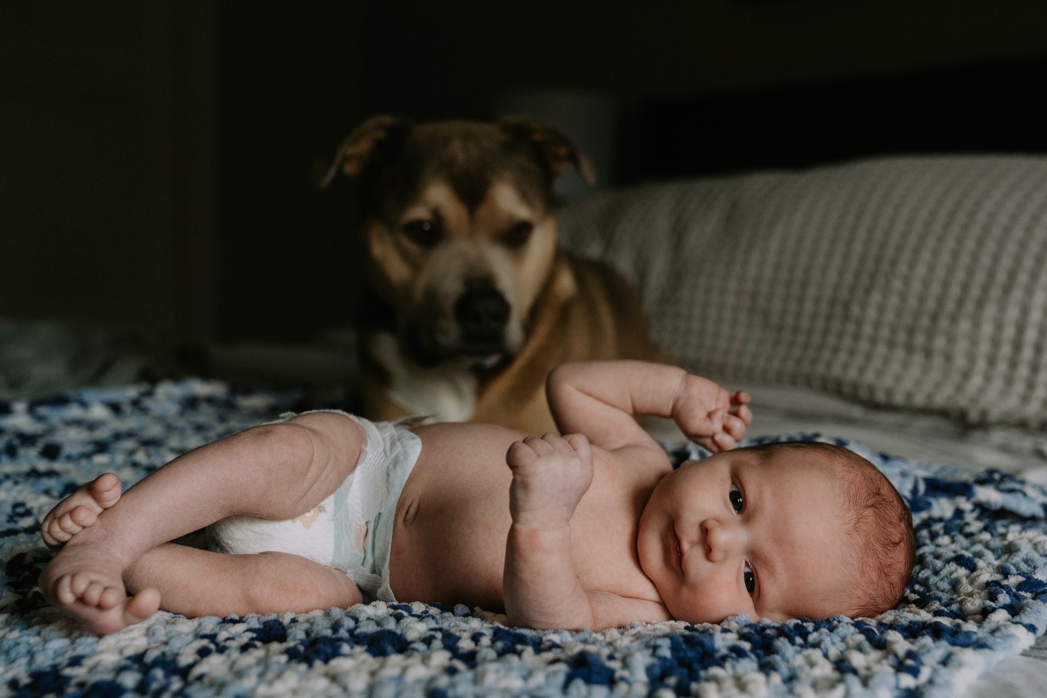 Family dog watches over new baby