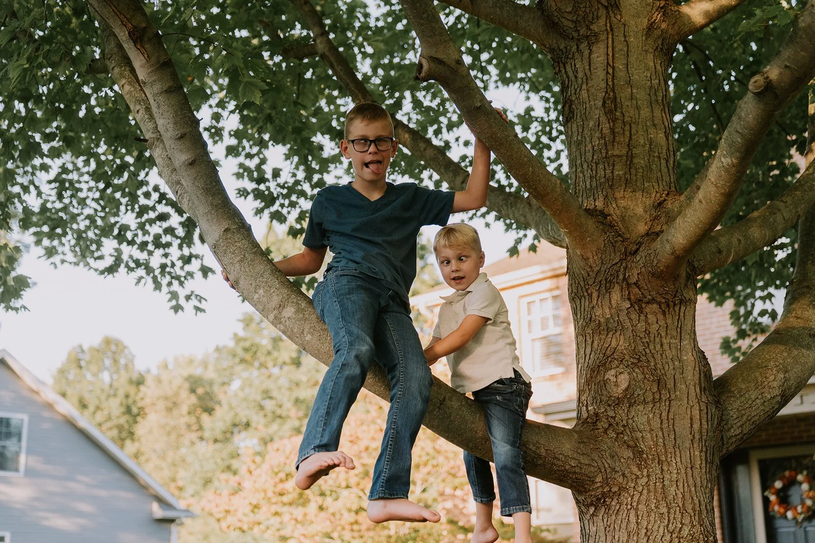 Brothers Climbing Tree in Front Yard | At-Home Lifestyle Session