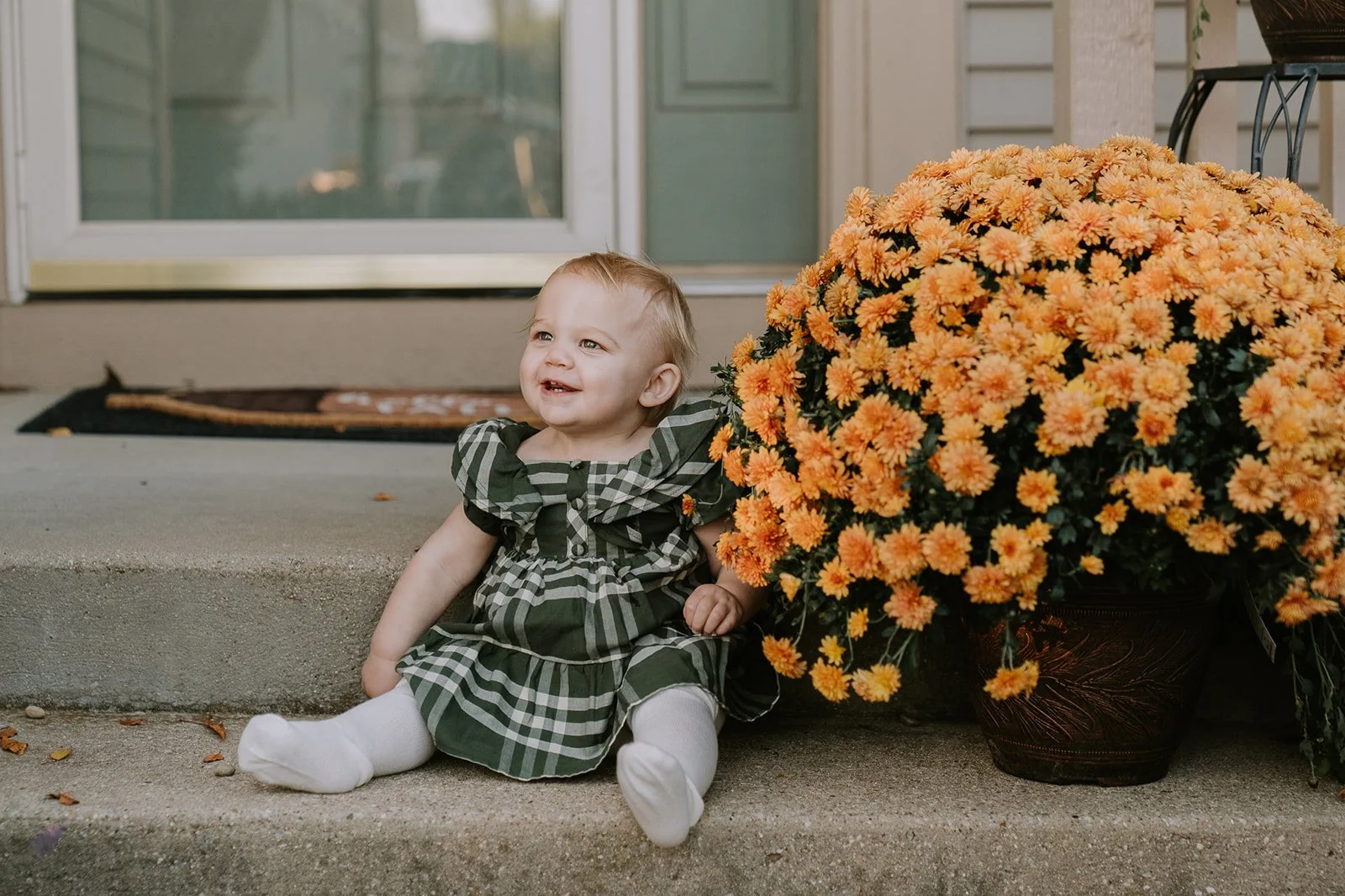 Toddler Portrait with Fall Mums | At-Home Mini Session