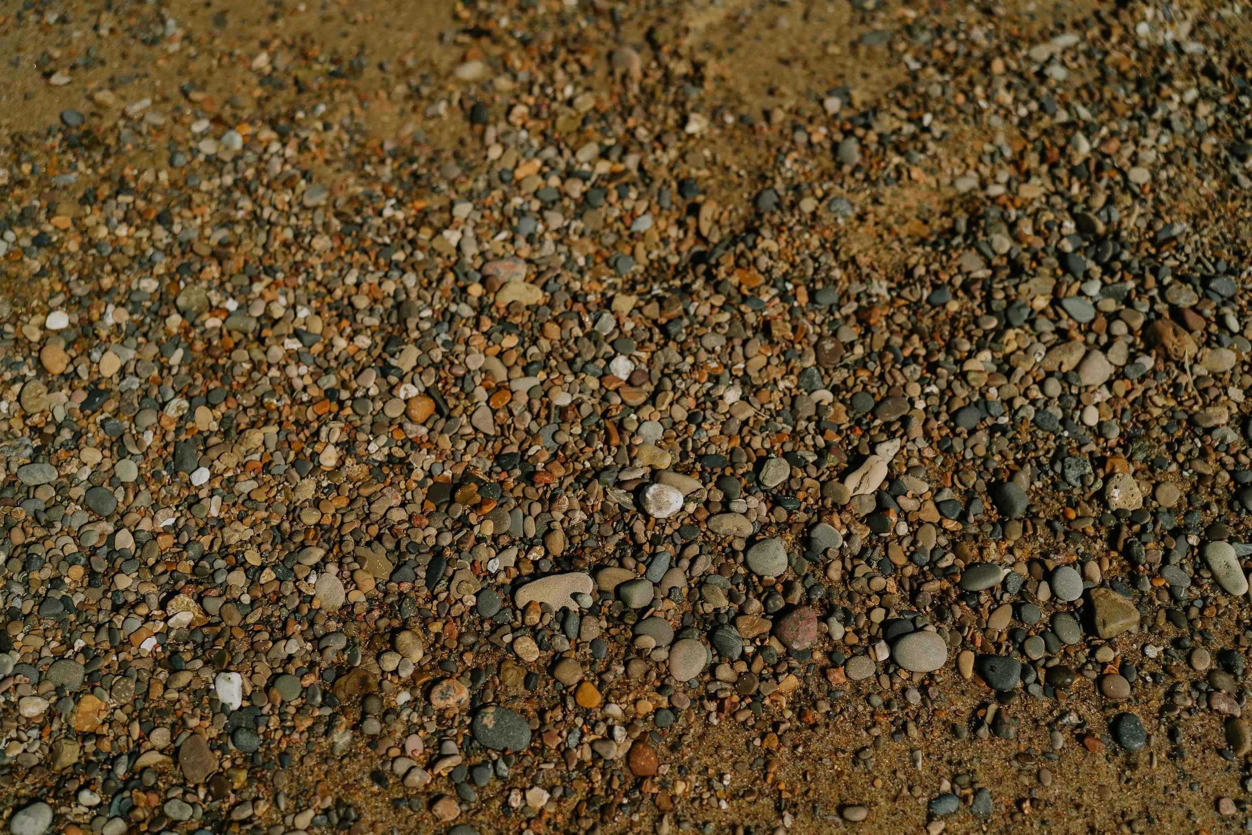 rocky shoreline
