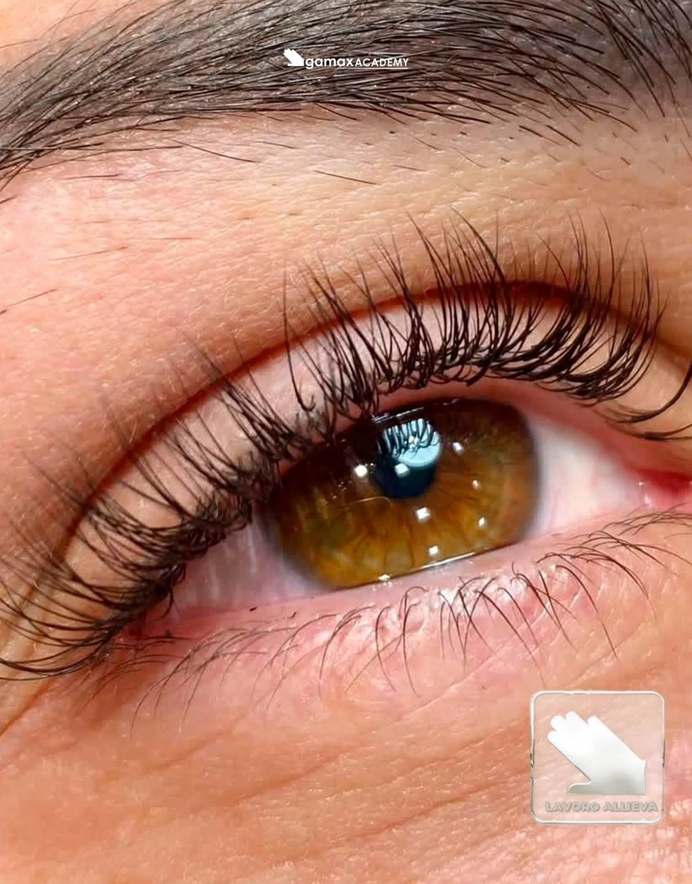 ✨La formazione che da un boost alla tua carriera✨

Il lavoro che sogni &egrave; a un passo da te, iscriviti alla Academy pi&ugrave; vicina a te 💖

Scopri i corsi in partenza su gamaxacademy.com 👀

#GamaxAcademy #Gamax #formazione