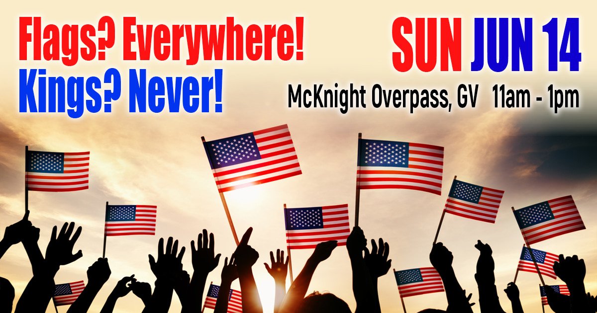 Flag Day no Kings Day!