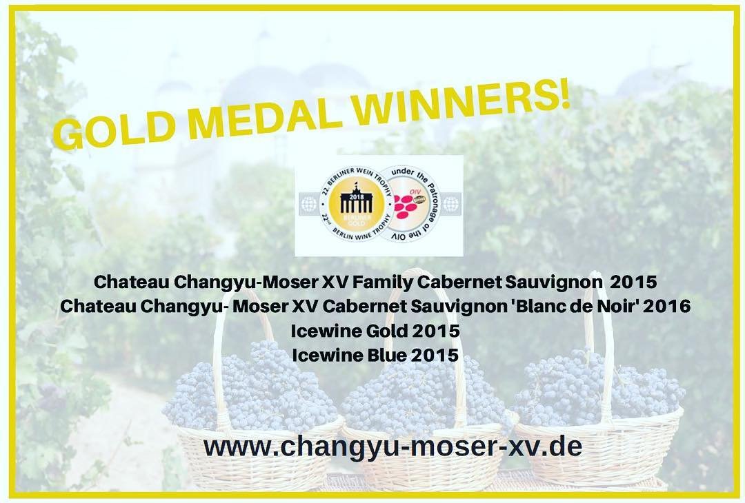 Four gold medals at Berlin Trophy, Ningxia shines!