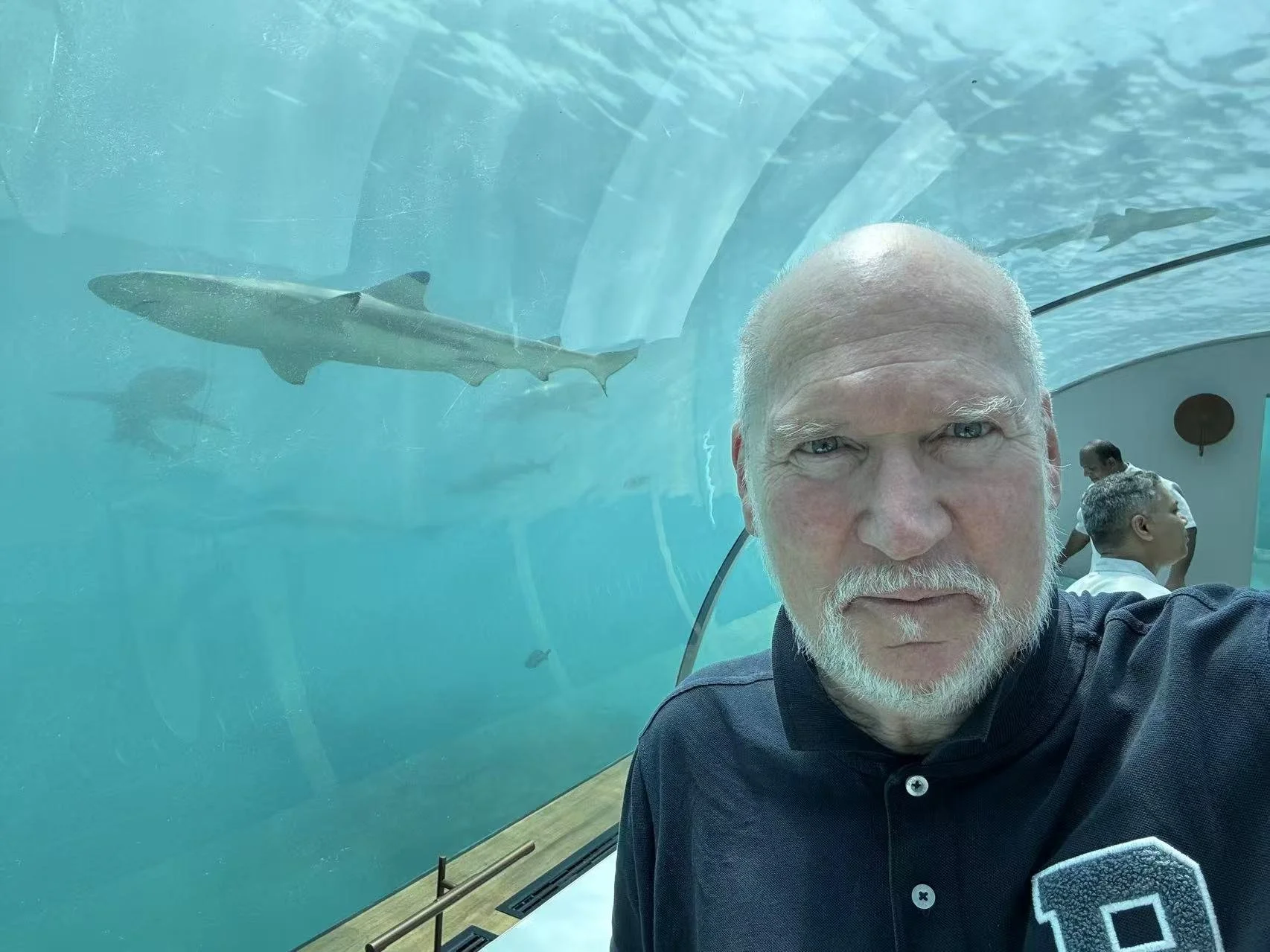 CHateu Changyu MOSER XV TASTING Event at First ever under water restaurant in Maldives 