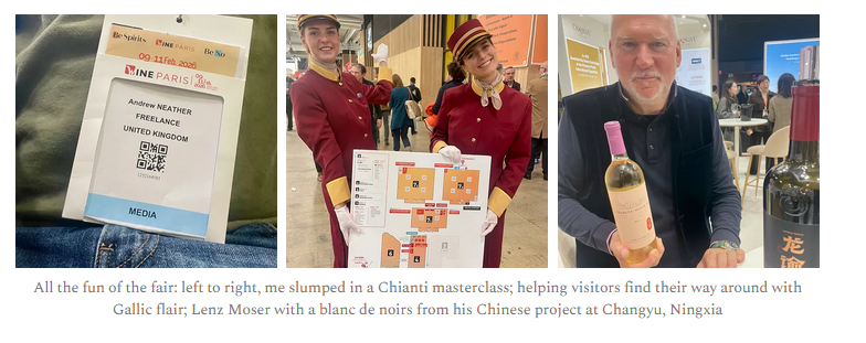 Andy Neather | Blanc de Noir review on his substack