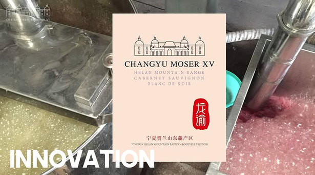 True innovation starts by looking at Cabernet Sauvignon differently.