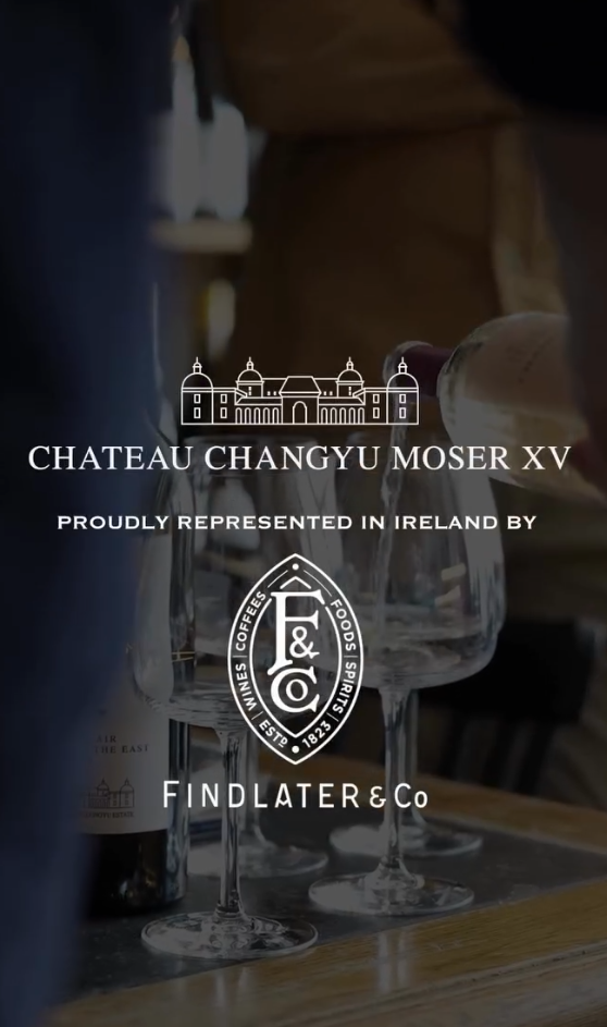 What does a winemaker’s market visit really look like? Market visit with Findlater Ireland