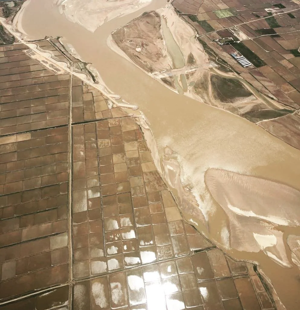 Yellow River sustains vineyards, fueling China’s top wine region’s ambition.