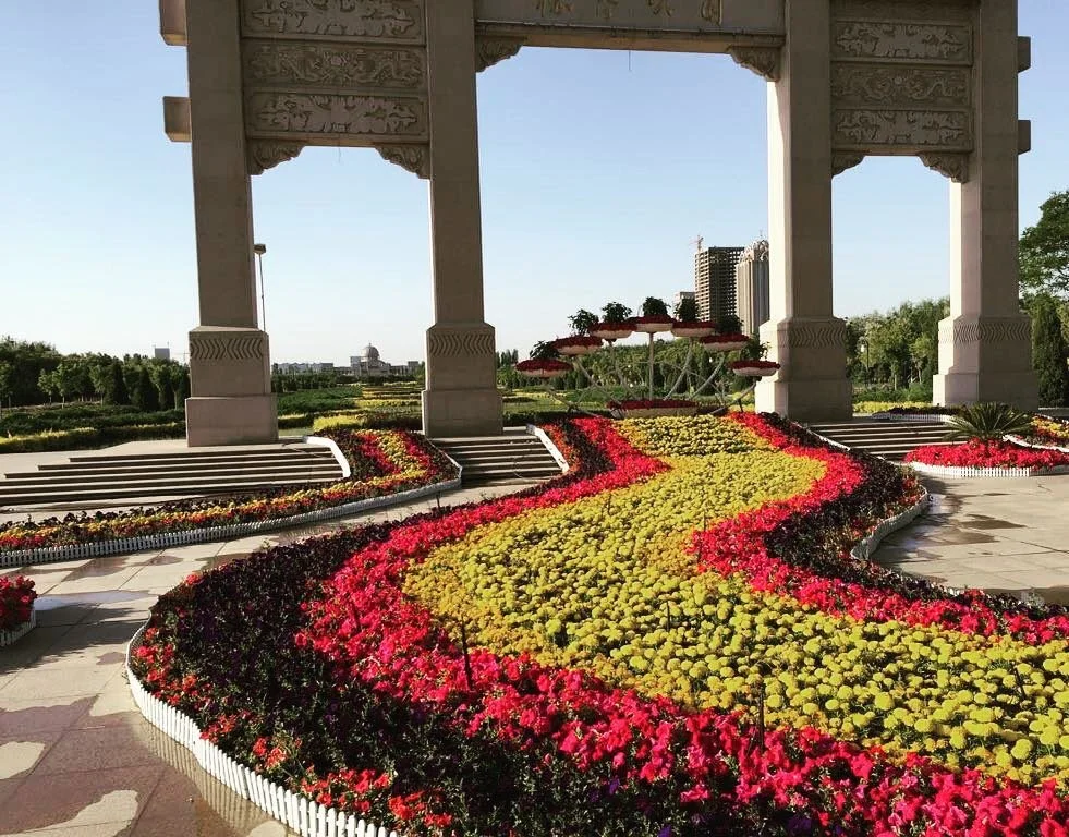Yinchuan’s cityscape shines against Chinese vineyard landscapes.