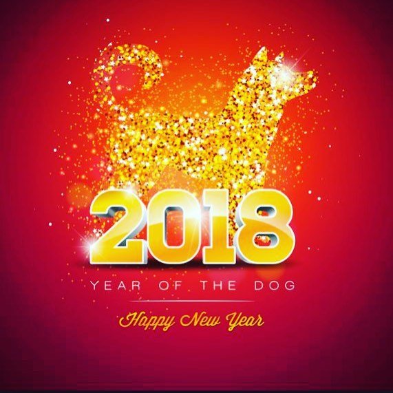Happy Chinese New Year, year of the dog!