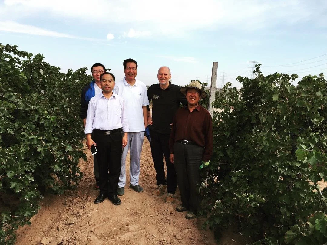 Chinese winemaking team connecting with European wine lovers.