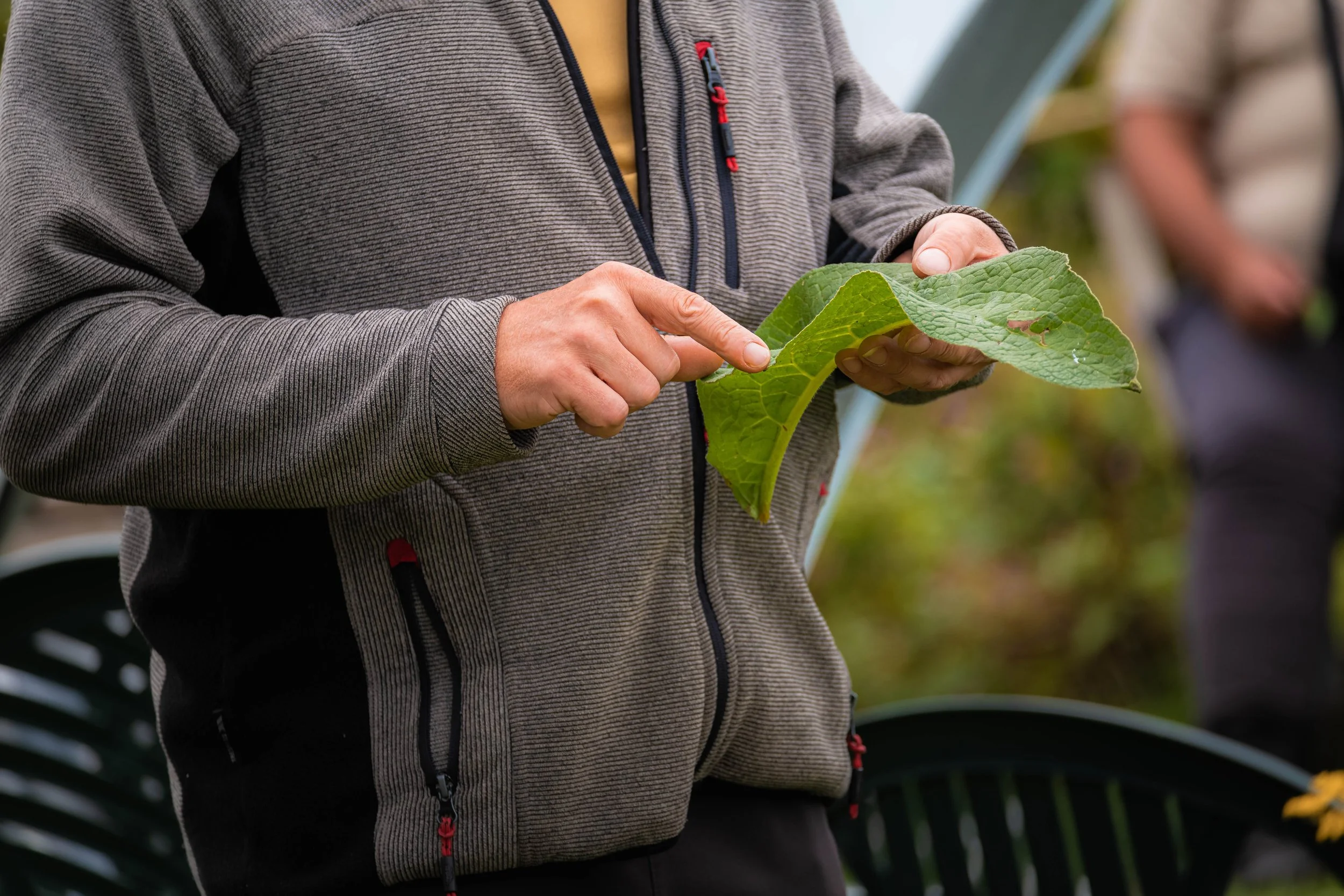 Grow Feral Permaculture_2021 ALPhotography-31.jpg