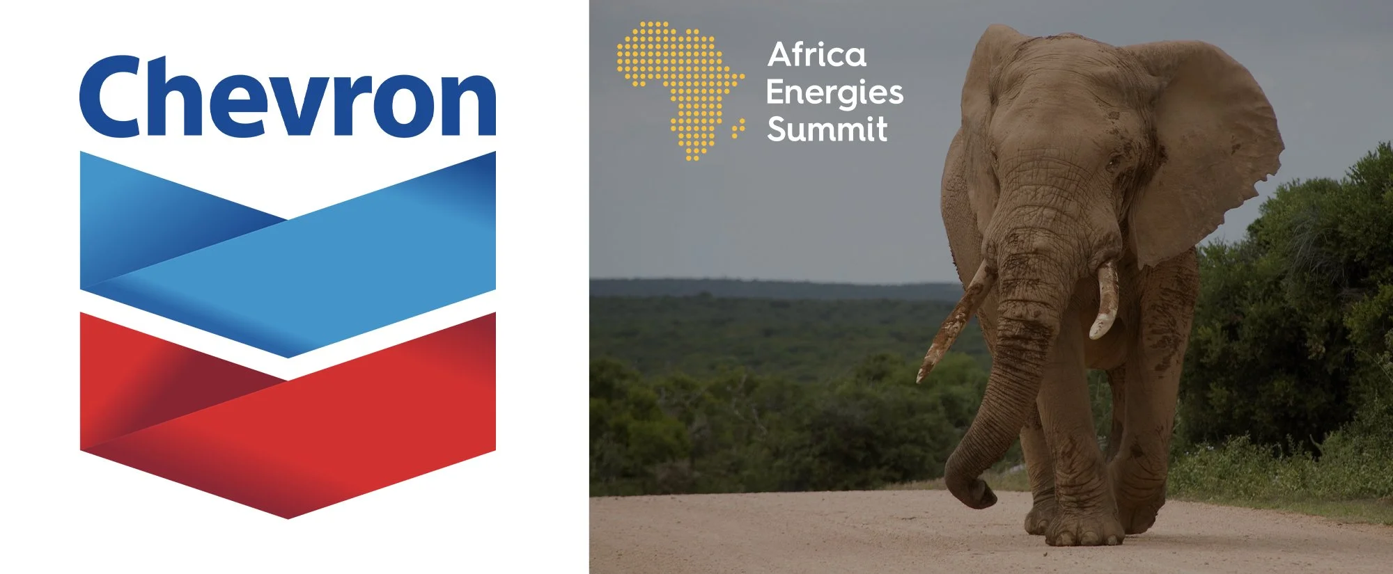 Africa Energies Summit 2024 Platinum Sponsor Chevron