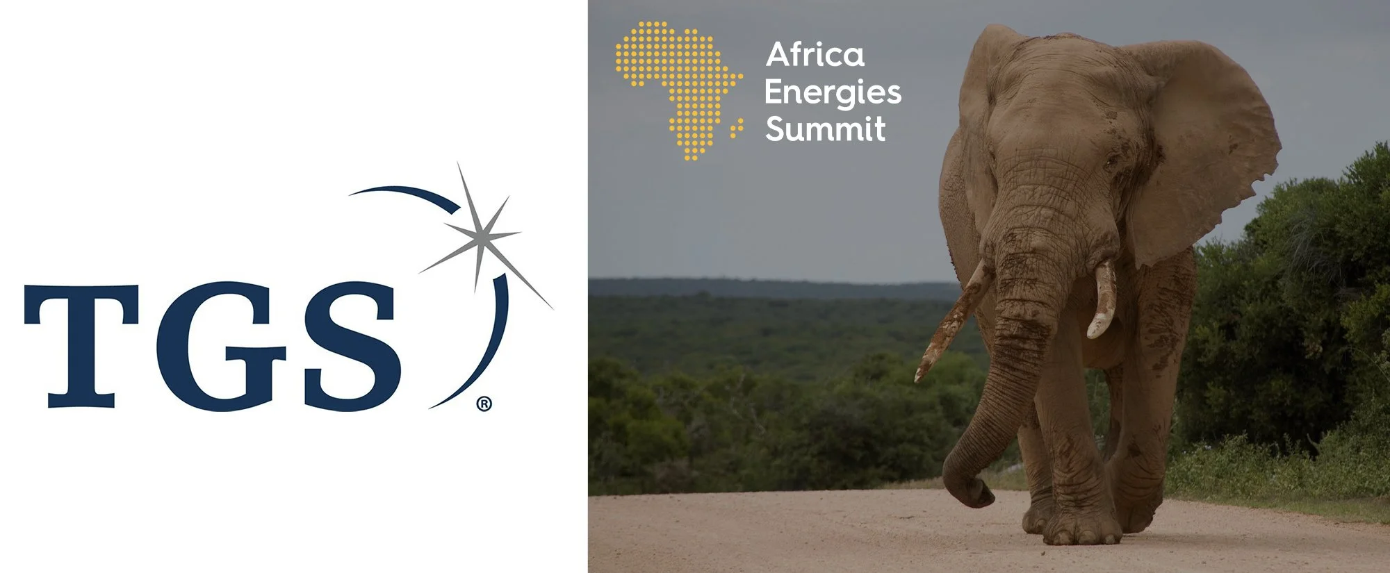 Africa Energies Summit VIP/Members Dinner Sponsor TGS