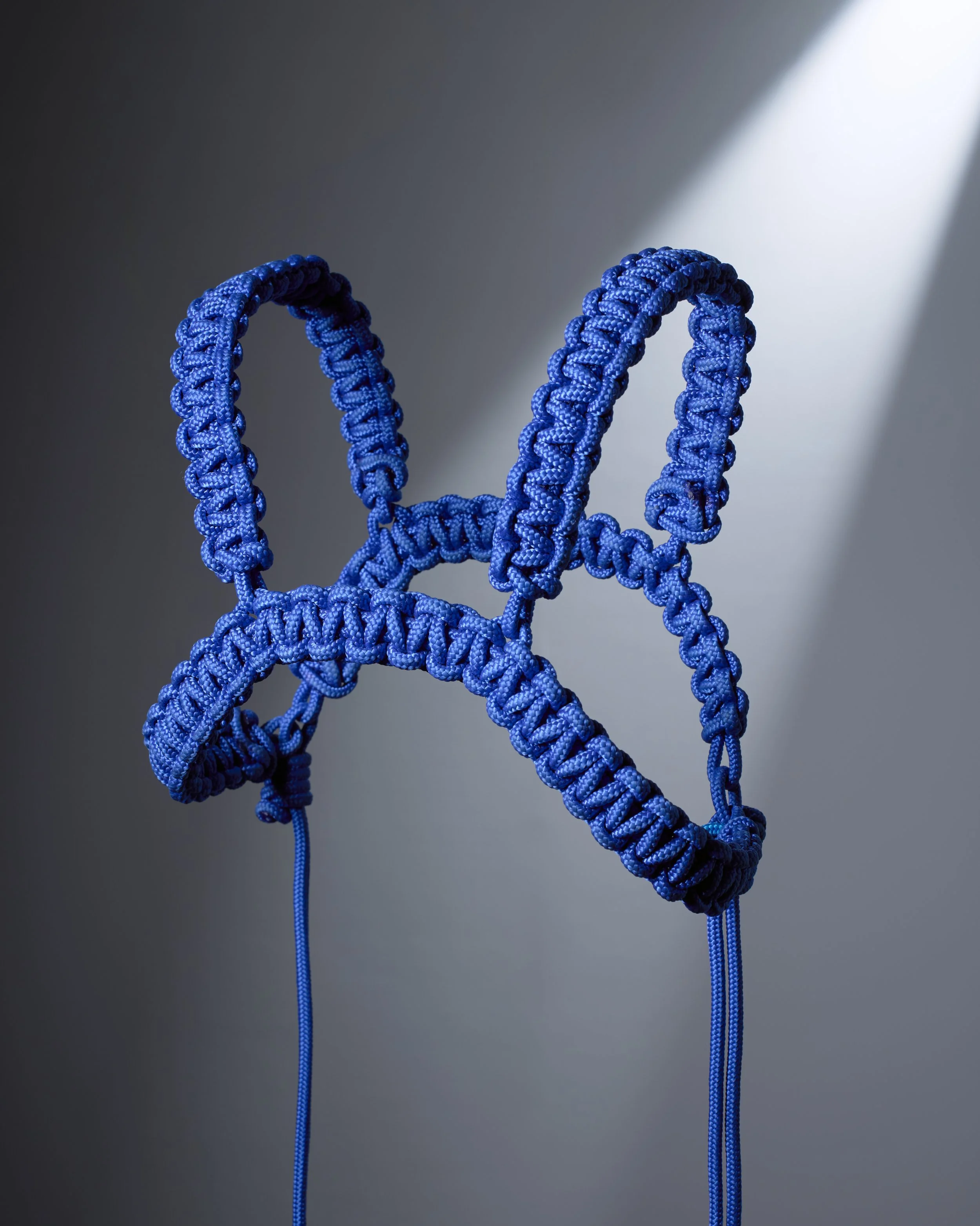 ACID/RAVE H-HARNESS