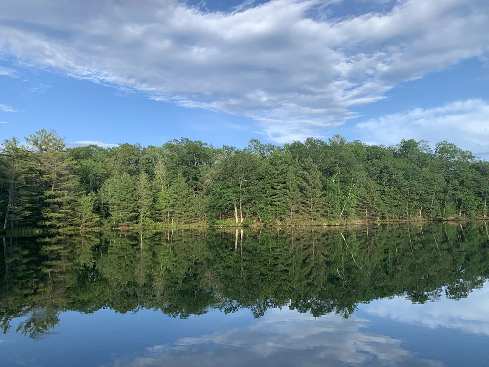 Lake Katherine Association