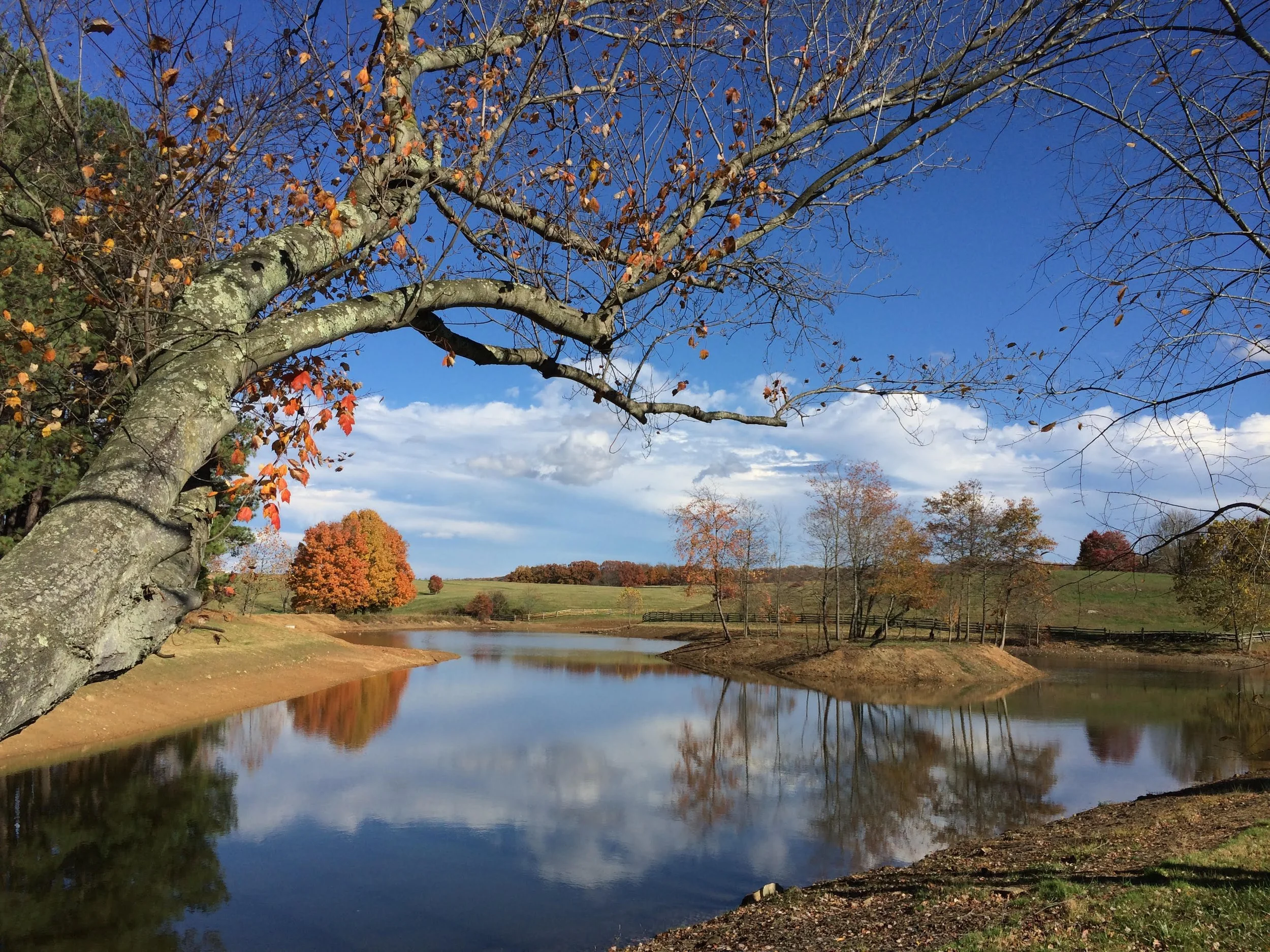 fall_lake.jpg