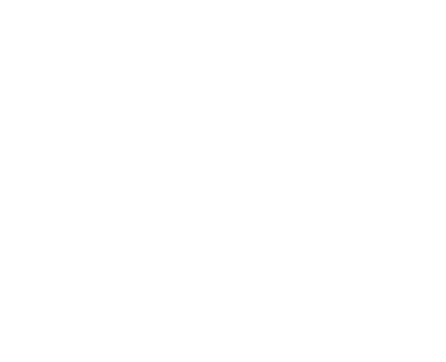 Bear Dog Pet Co. logo