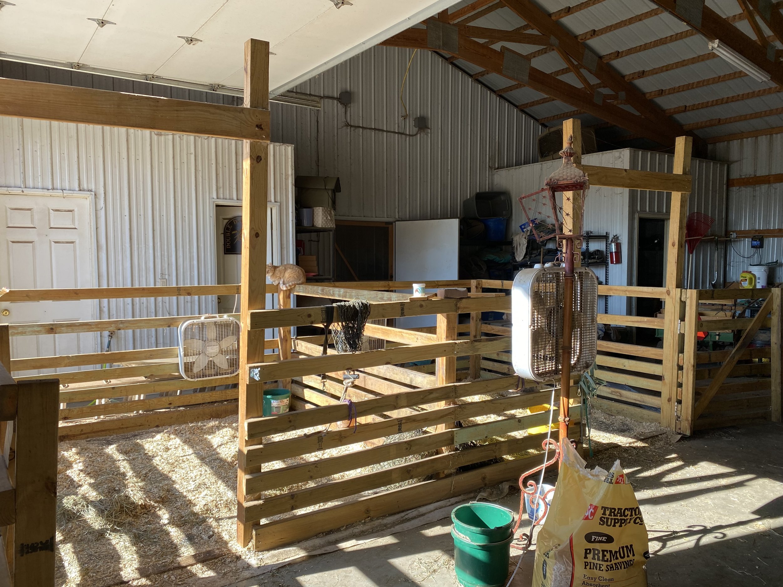 HorseBarn-02.jpeg