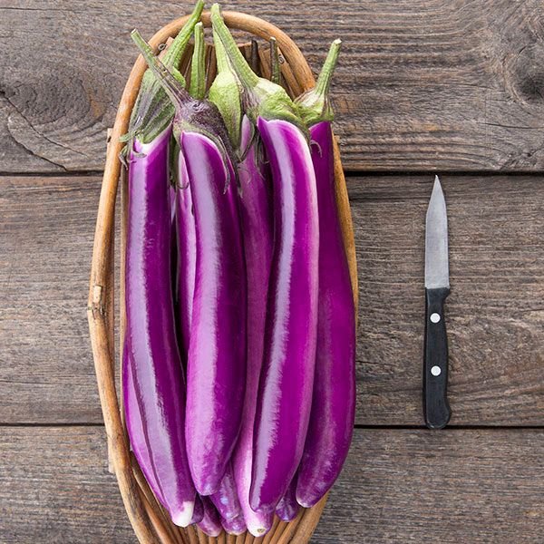 Ping Tung Long Eggplant (Taiwan)