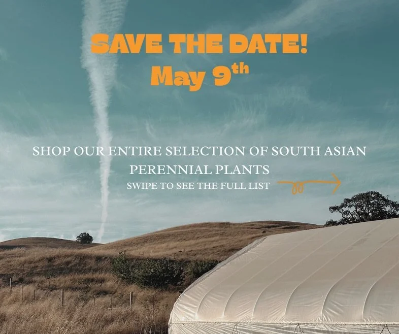 We&rsquo;re opening our nursery for just one day this Spring with a dreamy selection of our most cherished tropical perennials🌿

We&rsquo;ve decided to take a break this season from growing our typical assortment of heritage vegetables and herbs. It