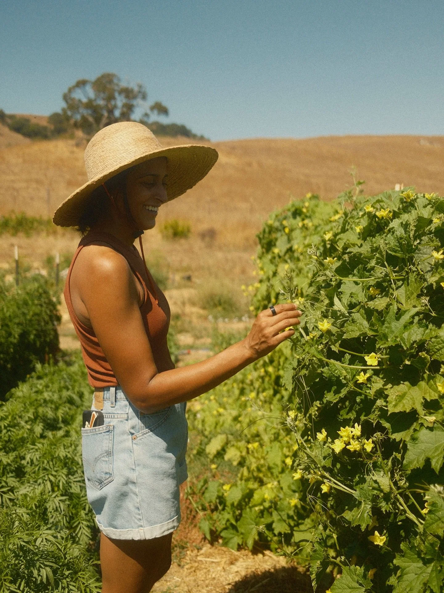An afternoon on our seed farm last year shot through the eyes of @reemakakaday 

Picture 1: Standing in front of a wall of Ridge Gourd. The bright yellow flowers attract bumblebees in the hoards. The fruit are juicy, lights and airy, and if left on t
