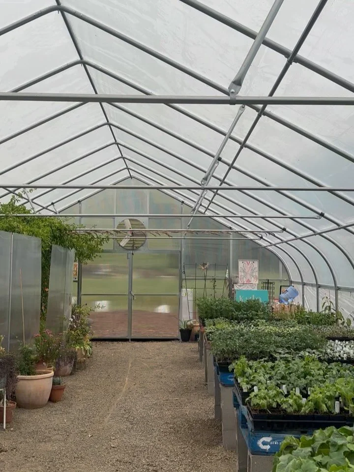 This Saturday we&rsquo;re finally opening our greenhouse for just one day! Ahead of our big day we want to give a big heartfelt thank you to everyone that&rsquo;s reached out and said they&rsquo;re coming🫶🏼 

In a capitalist society that consistent
