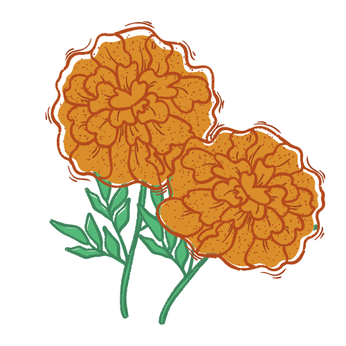 Kula Nursery