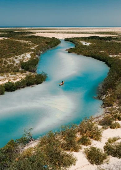 From Snorkeling to Stargazing, The Red Sea Destination Celebrates Its Biodiversity