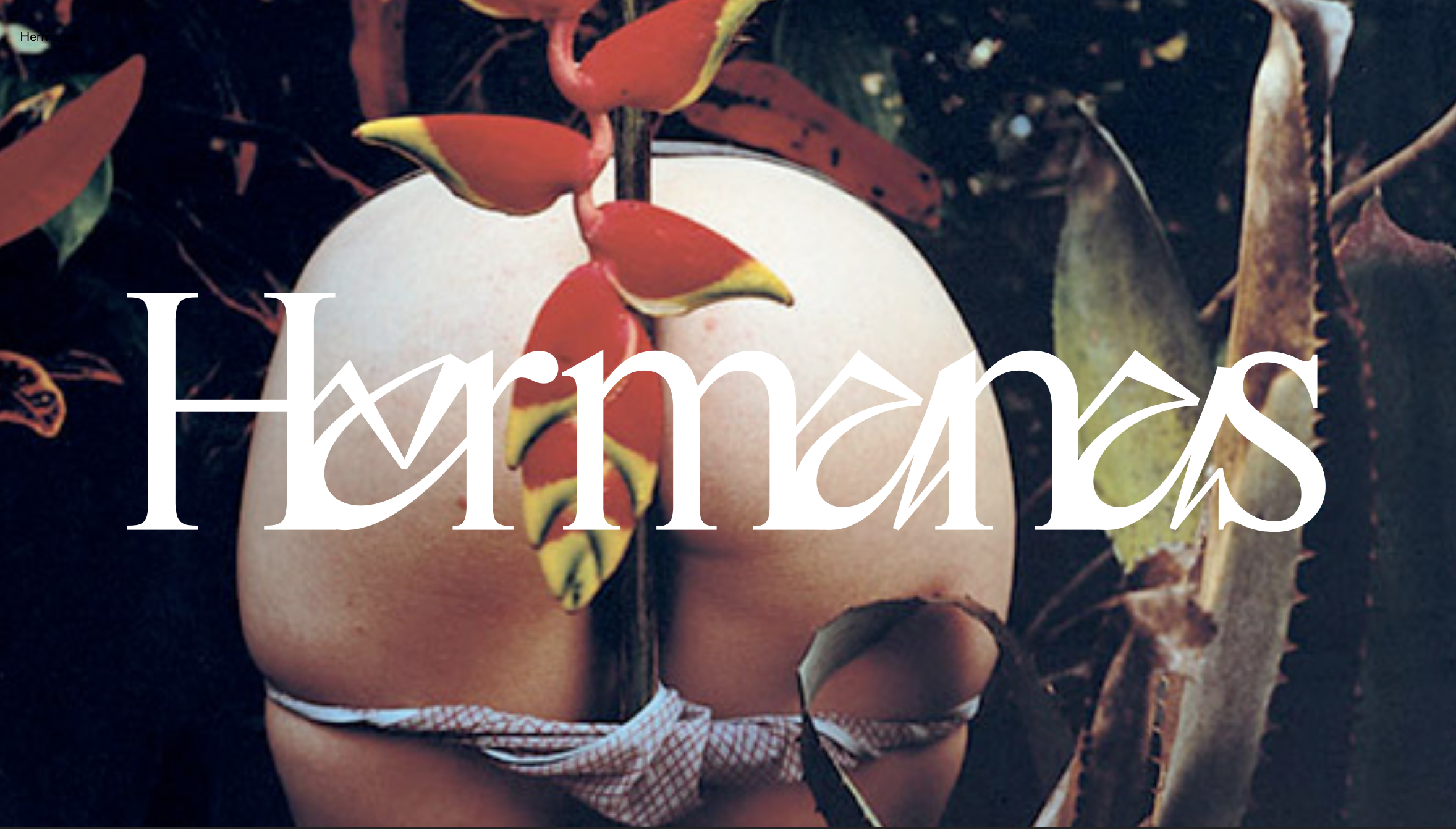 Screenshot 2026-03-02 at 16.13.56.png