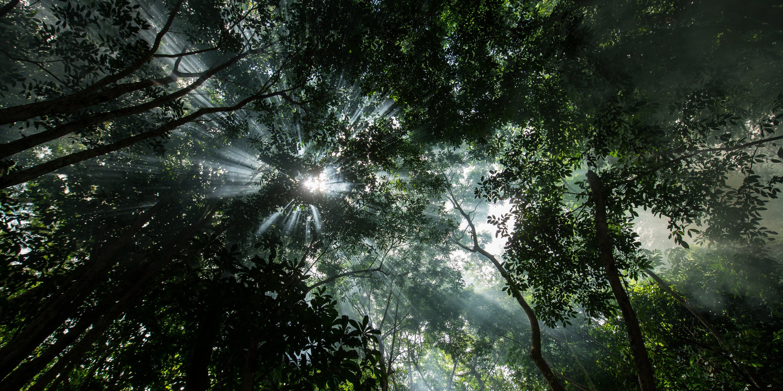 blog_image_2.jpg__7360x3680_q85_subsampling-2.jpg