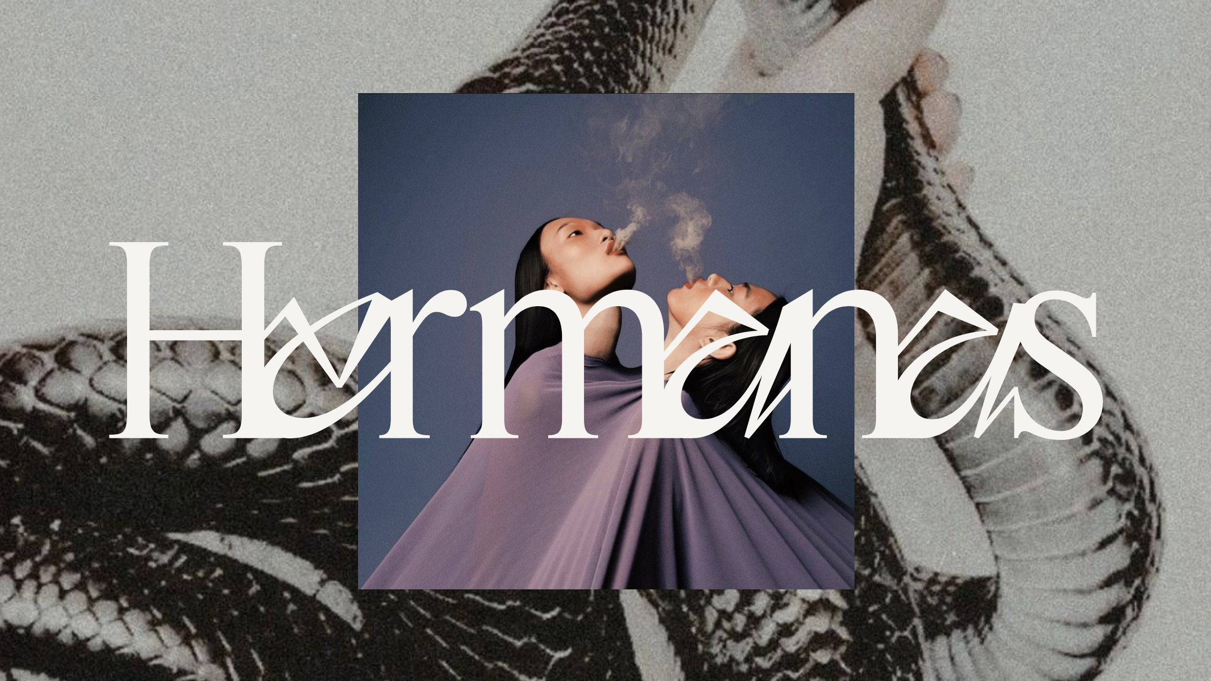 Screenshot 2026-03-02 at 16.14.20.png